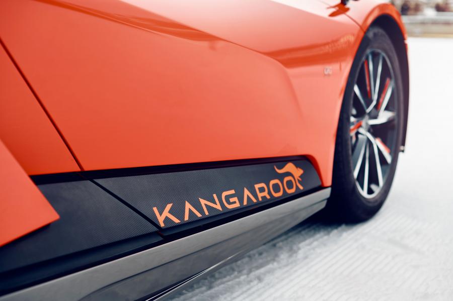Детали экстерьера GFG Kangaroo 2019 года  (фото 25 из 34)